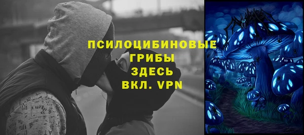 крисы Зерноград