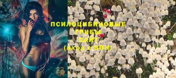 крисы Зерноград