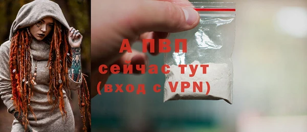 крисы Зерноград