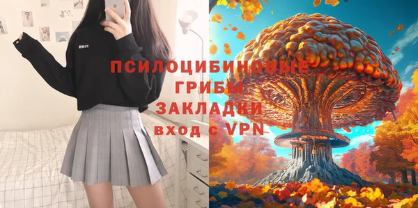 крисы Зерноград